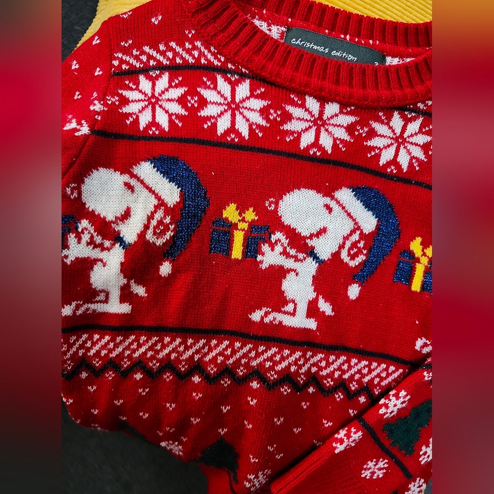 Red Kids Sweater